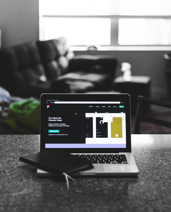 Profesyonel Web Tasarım