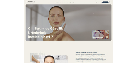 Profesyonel Web Tasarım