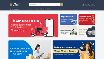 Profesyonel Web Tasarım